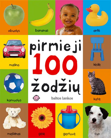 Pirmieji 100 žodžių