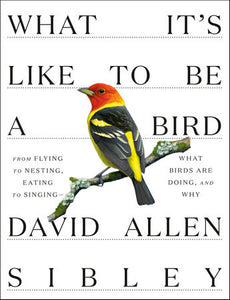 What It's Like to Be a Bird : What Birds Are Doing, and Why - From Flying to Nesting, Eating to Singing