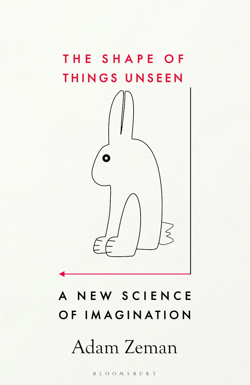 The Shape of Things Unseen : A New Science of Imagination