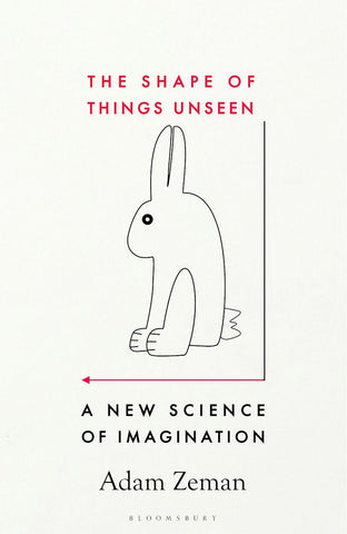 The Shape of Things Unseen : A New Science of Imagination