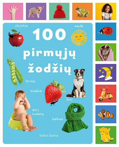 100 pirmųjų žodžių