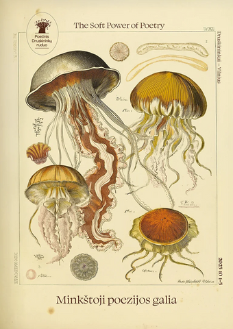 Poetinis Druskininkų ruduo 2025