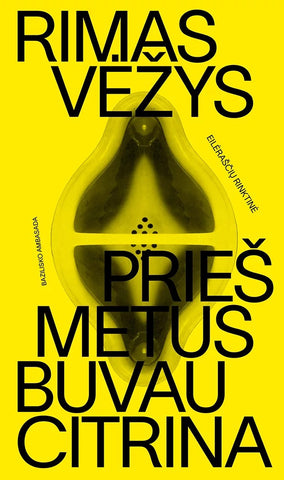 Prieš metus buvau citrina