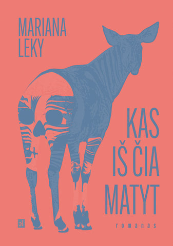 Kas iš čia matyt (IŠANKSTINĖ PREKYBA - knyga bus išsiųsta gruodžio 10 d.)