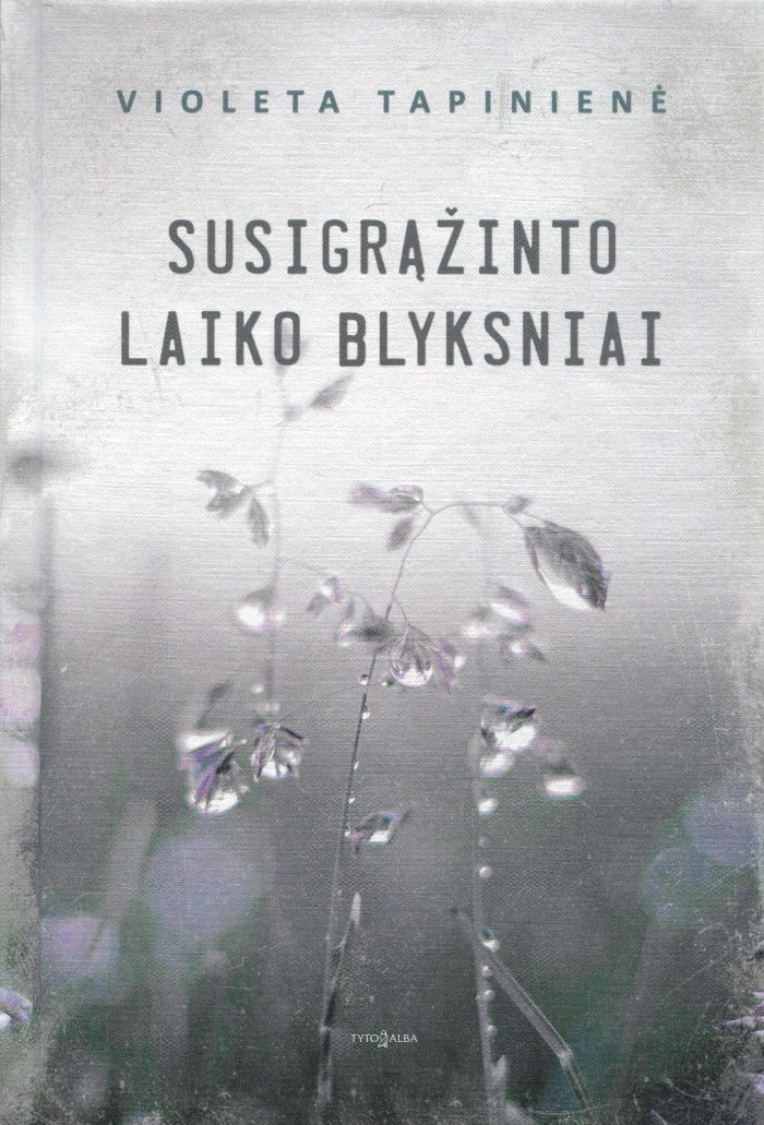 Susigrąžinto laiko blyksniai