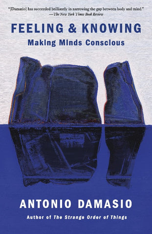 Feeling & Knowing: Making Minds Conscious