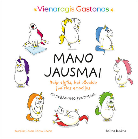 Mano jausmai. Vienaragis Gastonas