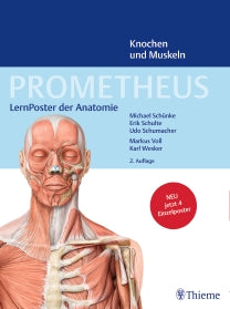 PROMETHEUS LernPoster der Anatomie, Knochen und Muskeln